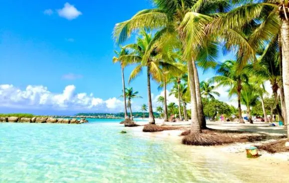 Au bord du lagon de Sainte Anne. Sur la plage coco.