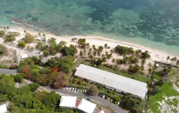 Le Tilotine alizetropical
