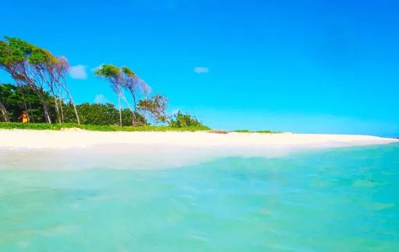 Maison touristique Le Dauphin au calme 