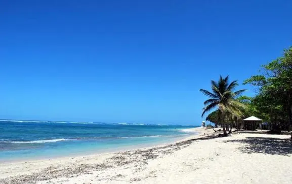 2 pièces classé 3 * Vue mer Plage à 100 mètres -Jardin au calme -activités         