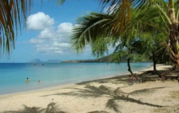 JOLI STUDIO À 30M DE LA MER DES CARAIBES