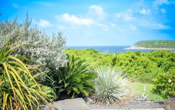 Villa Corail Blanc avec piscine et une splendide vue mer !