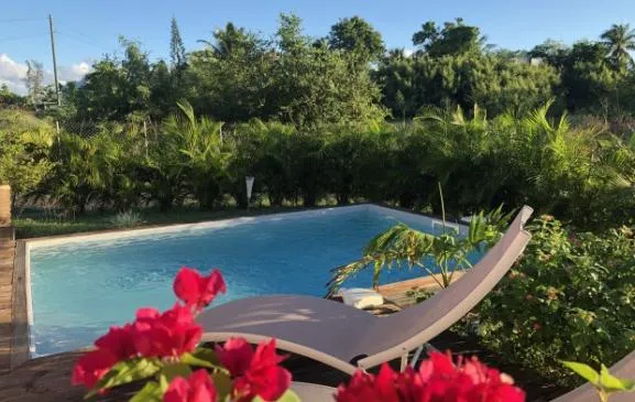 O Jardin des Surettes, Arbre du Voyageur avec piscine privative