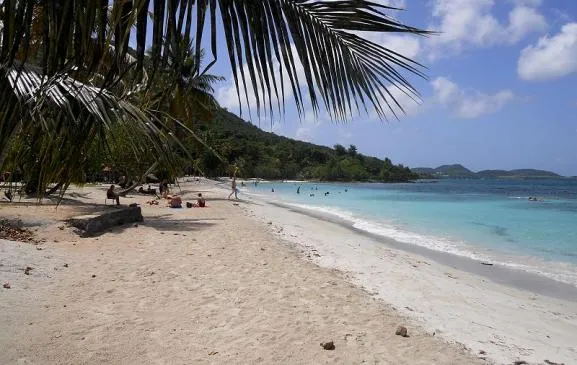 Les Pieds dans l'eau Martinique