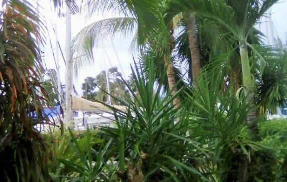 studio R.D.C. au calme à 200m des plages couleur Caraïbes