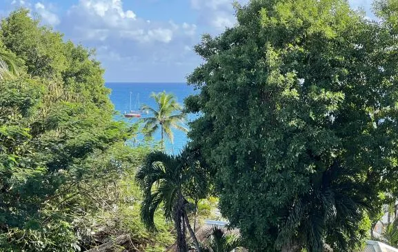 Appartement Hibiscus 25m² n°4, accès direct plage, vue mer et montagne, plages à 3 min à pied
