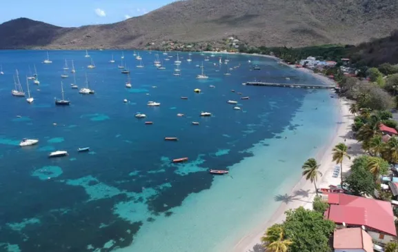 Apt Tortue - Grande Anse d'Arlet