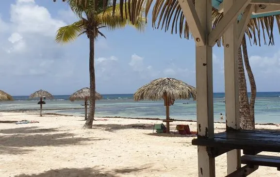 Appartement T2 Arawak, Plage et Lagon à 40m, Anse des Rochers, Guadeloupe