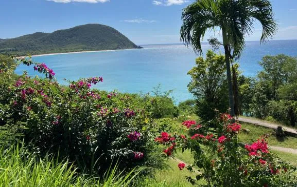 Appartement en rez de jardin - 2 pièces 3* -Vue mer- Plage à 150 m 