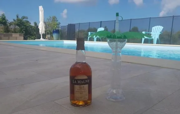 T3 BORD DE MER ANSE MABOUYA