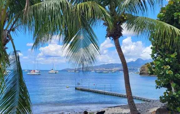 Spacieux appartement, terrasse vue mer 50 m de la plage de l' Anse Mitan, Résidence Alpinia