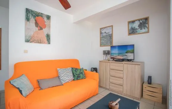 Beau T3 Anse à l'âne avec piscine