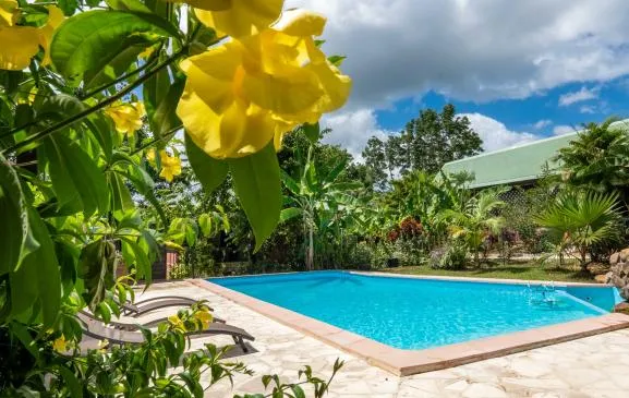 Gîtes** avec piscine et SPA à 900m de la plage sainte rose guadeloupe