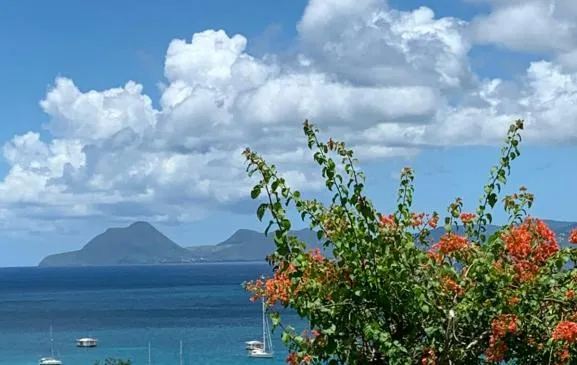 Location ste Anne piscine et vue mer incroyable 