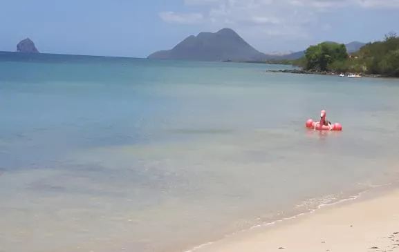 T3 BORD DE MER ANSE MABOUYA